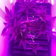 Bespokegrowroomsolutions