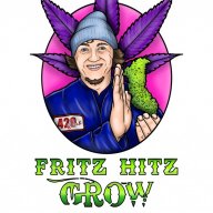 FritzHitz
