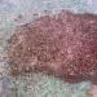 Crestonian