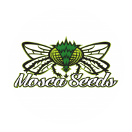 Mosca Seeds