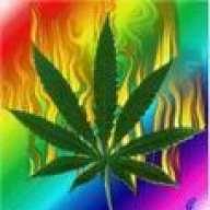 marijuana2468