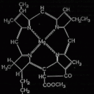 Ferredoxin