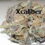 Xcaliber