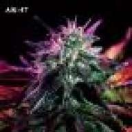 white.boy420