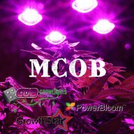 MCOB