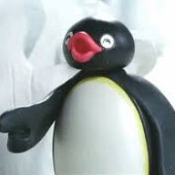 Pingu*