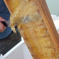 Simplybee