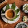 Green_Thumbs_093081