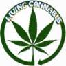 Livingcannabisdotcom