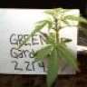 Greengarden2214