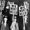 WeWantWeed