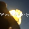 WeedWeekly