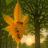 GreenHoney