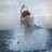 GreatWhiteShark1