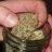 MidwestMicroGrower