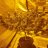 Newbie 420grower