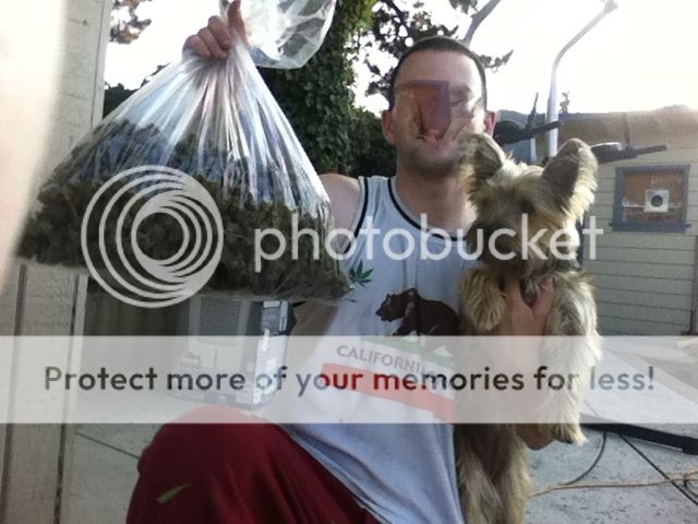 photo1_zps1a2533b5.jpg