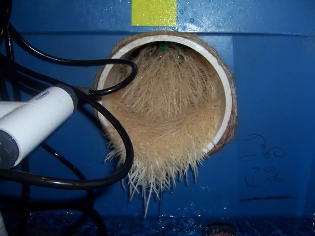 000_2717.jpg