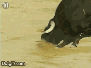 gifs_22.gif