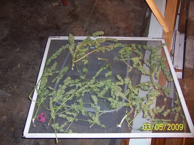 100_1496.jpg