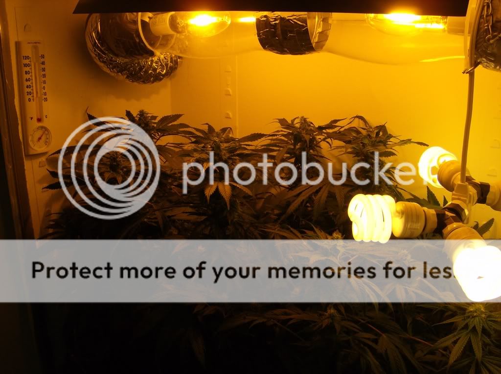 ImportedPhotos00139.jpg