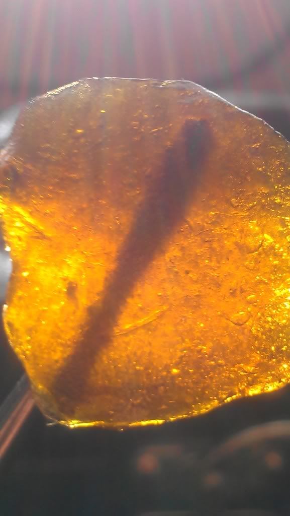 IMAG0308_zps56801f71.jpg