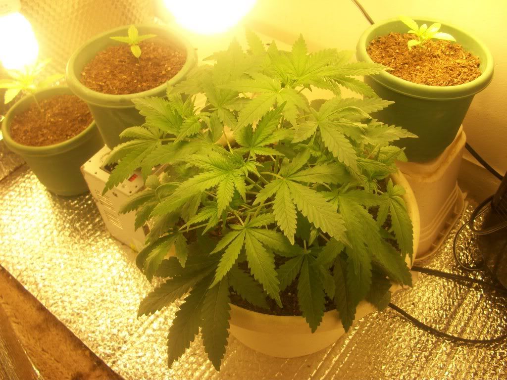 100_0721.jpg