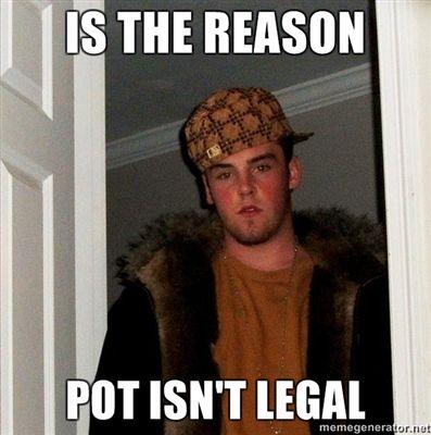 IS-THE-REASON-POT-ISNT-LEGAL.jpg