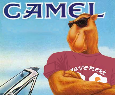 up-camel_lrg.jpg