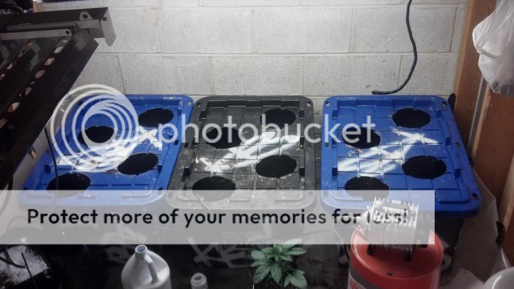 2013-01-05_15-00-29_352_zpsf925fa61.jpg