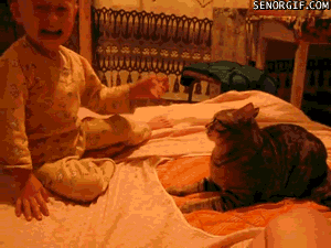 6c81bc84-093f-4a79-8c0e-767dedcf61d5.gif