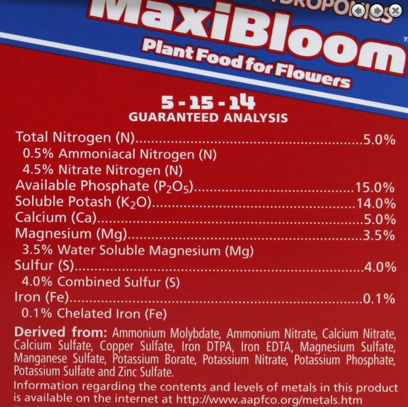 maxibloom.jpg