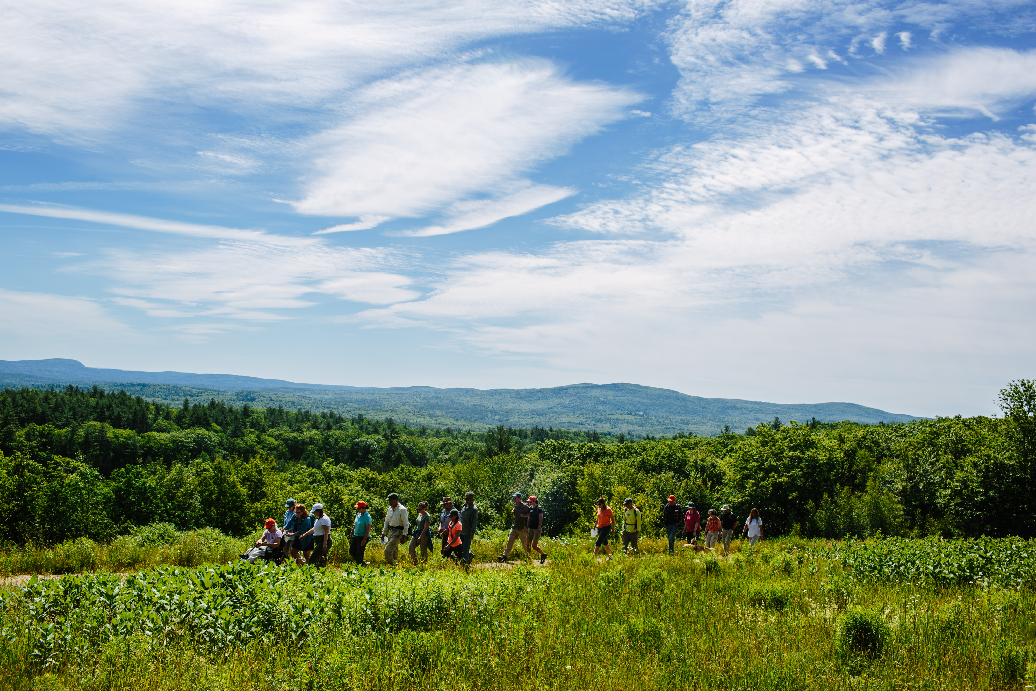 forestsociety.org