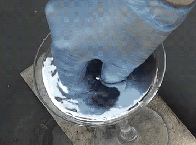 gifs_01.gif