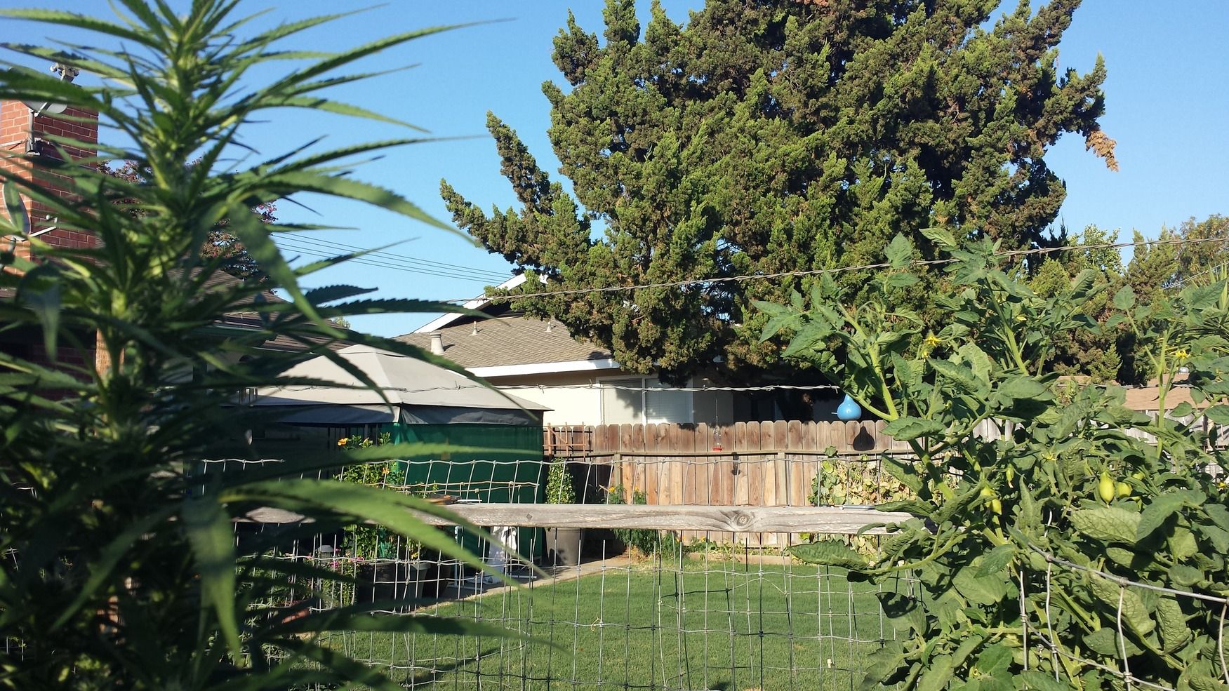20140905_174352.jpg