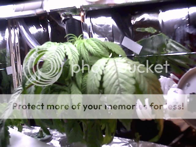 Sample_2-1.jpg