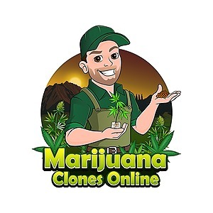 www.leafly.com