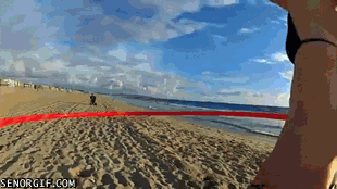 gifs_08.gif