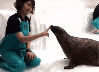 1663768272_14.gif
