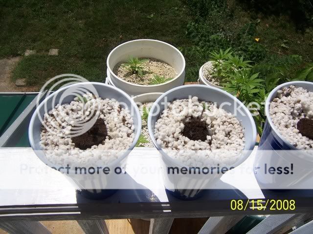100_0328.jpg