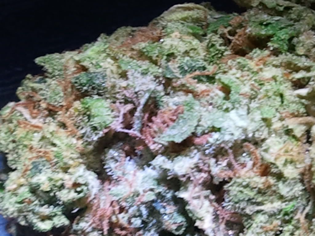 2011-02-21182455.jpg