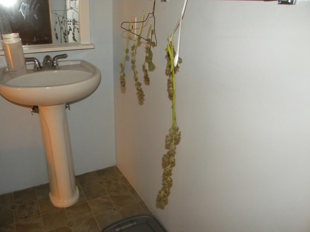 DSCN0628.jpg