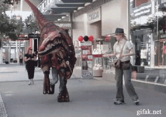 gifs_05.gif
