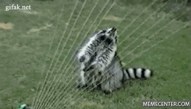 EpnE.gif