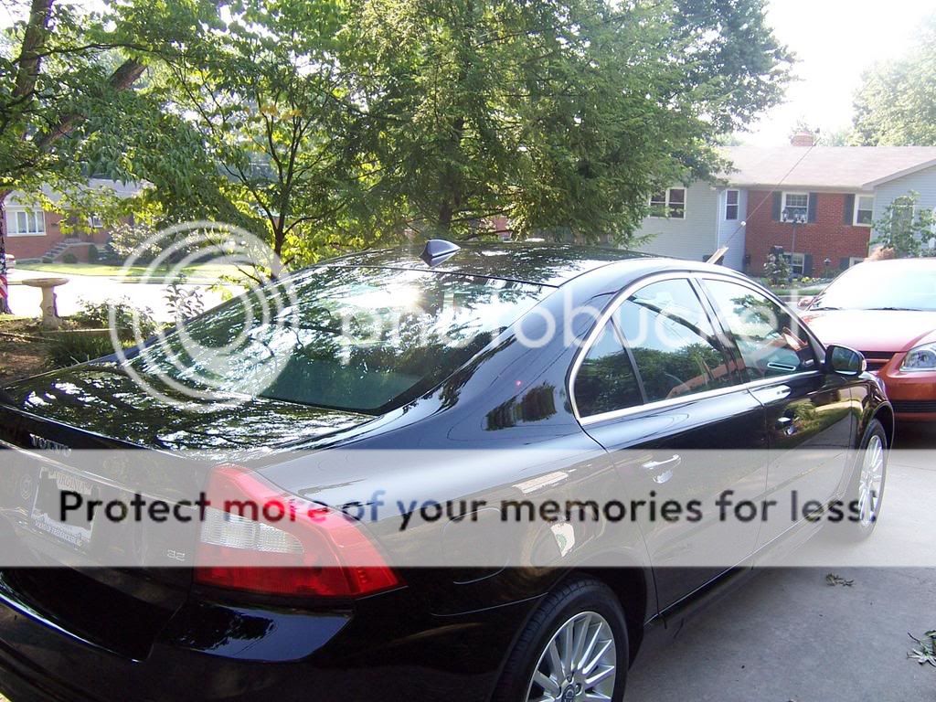 100_1793ghghghg.jpg
