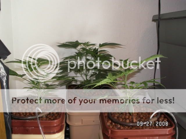 PICT0486.jpg