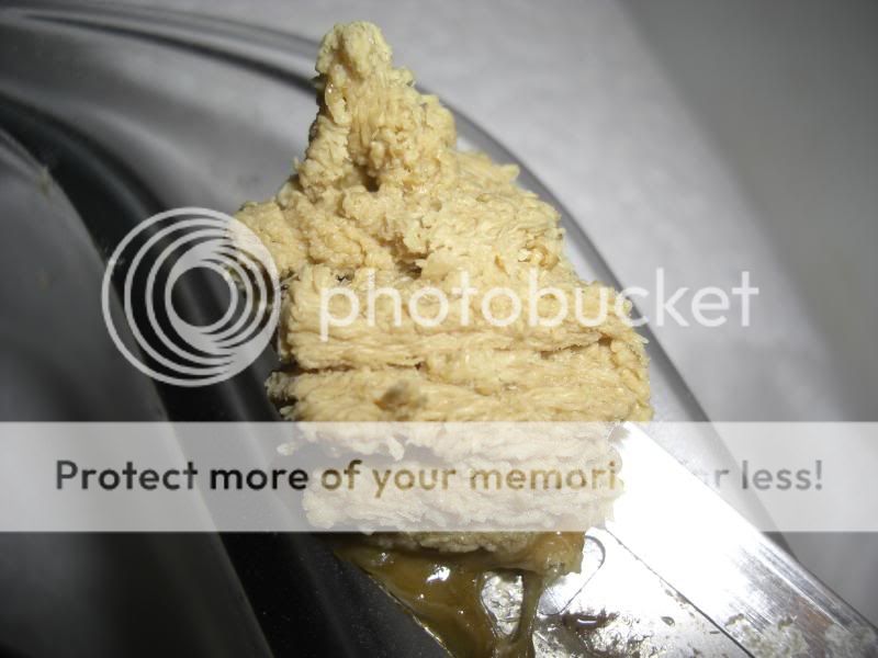 1657042d1308586281-daily-bud-hash-001.jpg