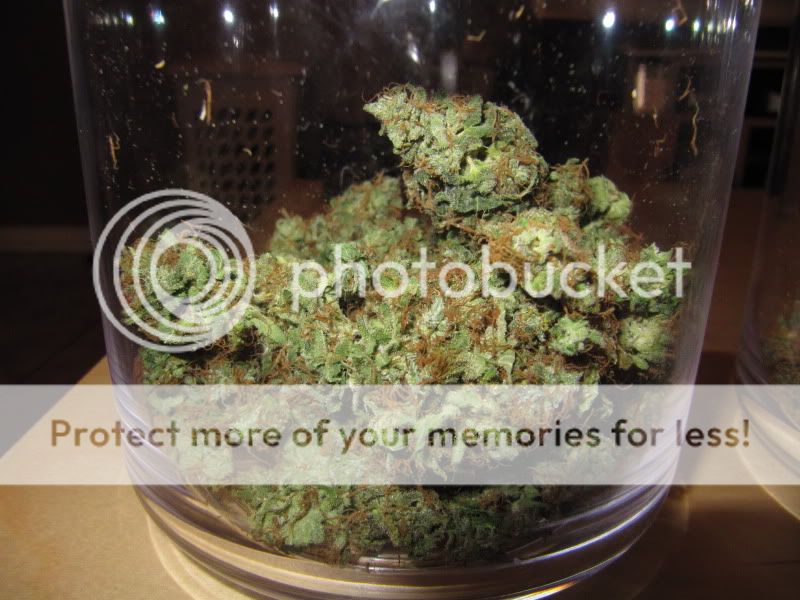 MEdicalHighTimes007-1.jpg