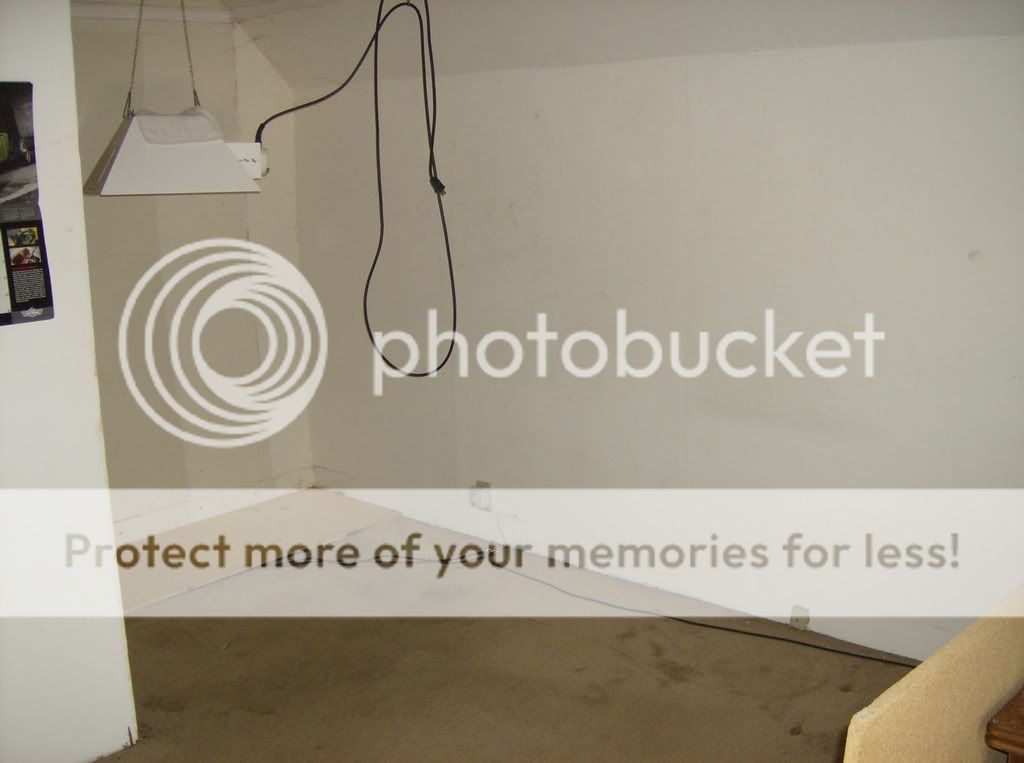 ImportedPhotos00152.jpg
