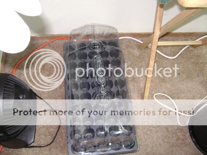 Picture010-17.jpg